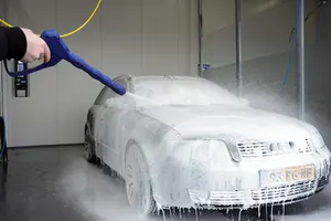 Binnenkant wasbox Pro Carwash Epe
